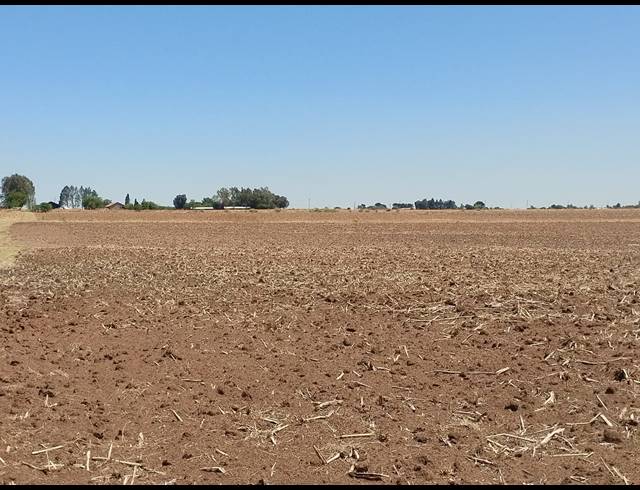 20.20HA VACANT LAND FOR SALE IN CHRISSIEFONTEIN